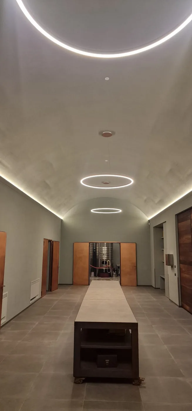 Sala di vinificazione contemporanea con volta a botte, illuminazione ad anello e serbatoi in acciaio